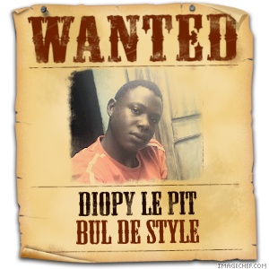 diopy le pit bul de style